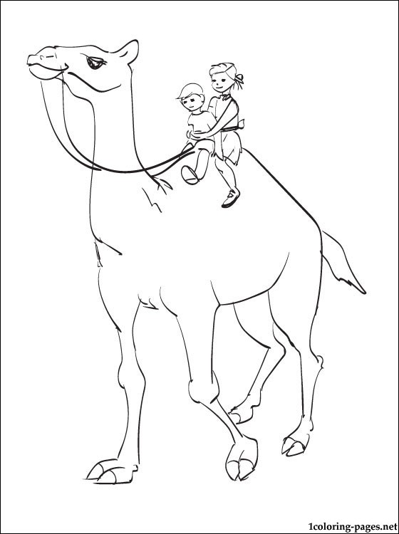 31 Exotic Camel Coloring Pages Printable 22