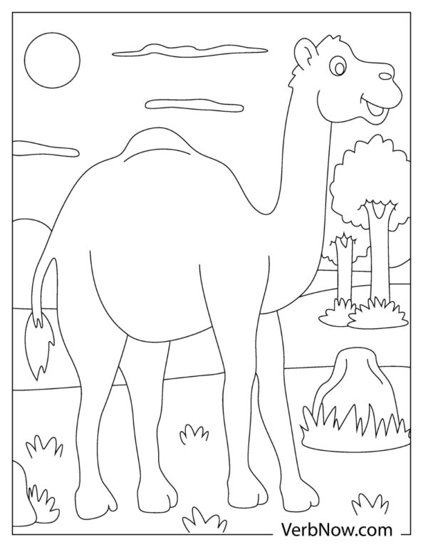 31 Exotic Camel Coloring Pages Printable 24