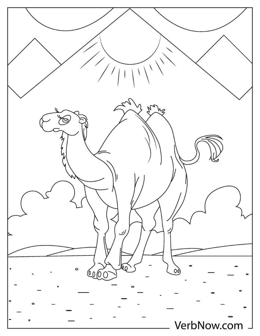 exotic camel coloring pages printable jpg