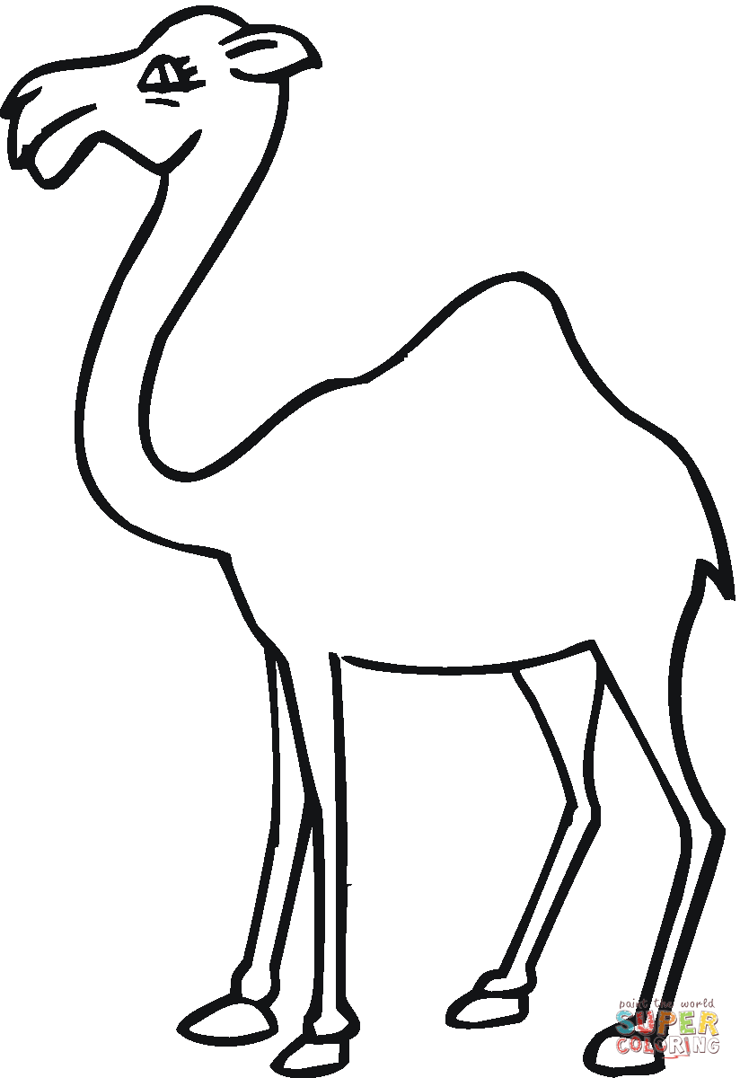 exotic camel coloring pages printable jpg