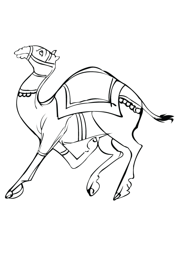 31 Exotic Camel Coloring Pages Printable 30