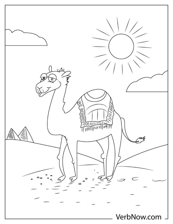 31 Exotic Camel Coloring Pages Printable 31