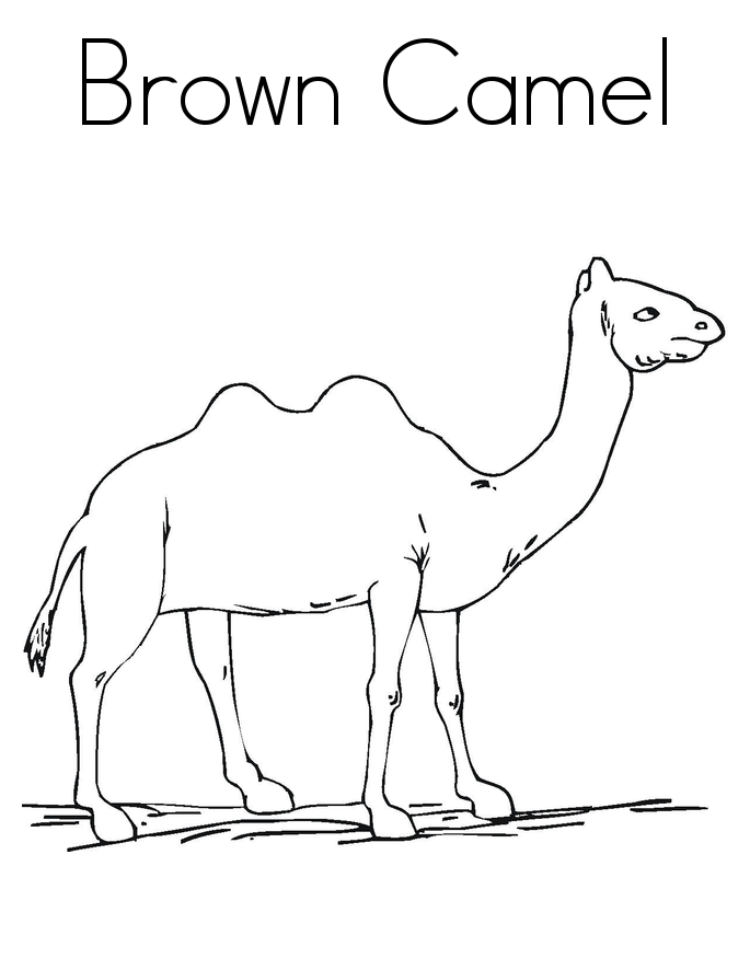 31 Exotic Camel Coloring Pages Printable 32