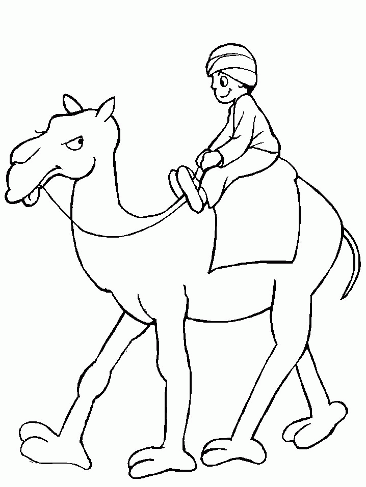 31 Exotic Camel Coloring Pages Printable 35