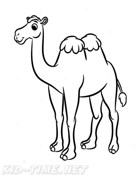 31 Exotic Camel Coloring Pages Printable 5