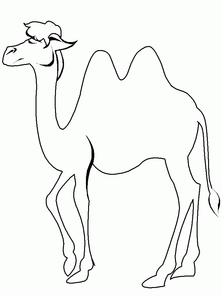 31 Exotic Camel Coloring Pages Printable 6