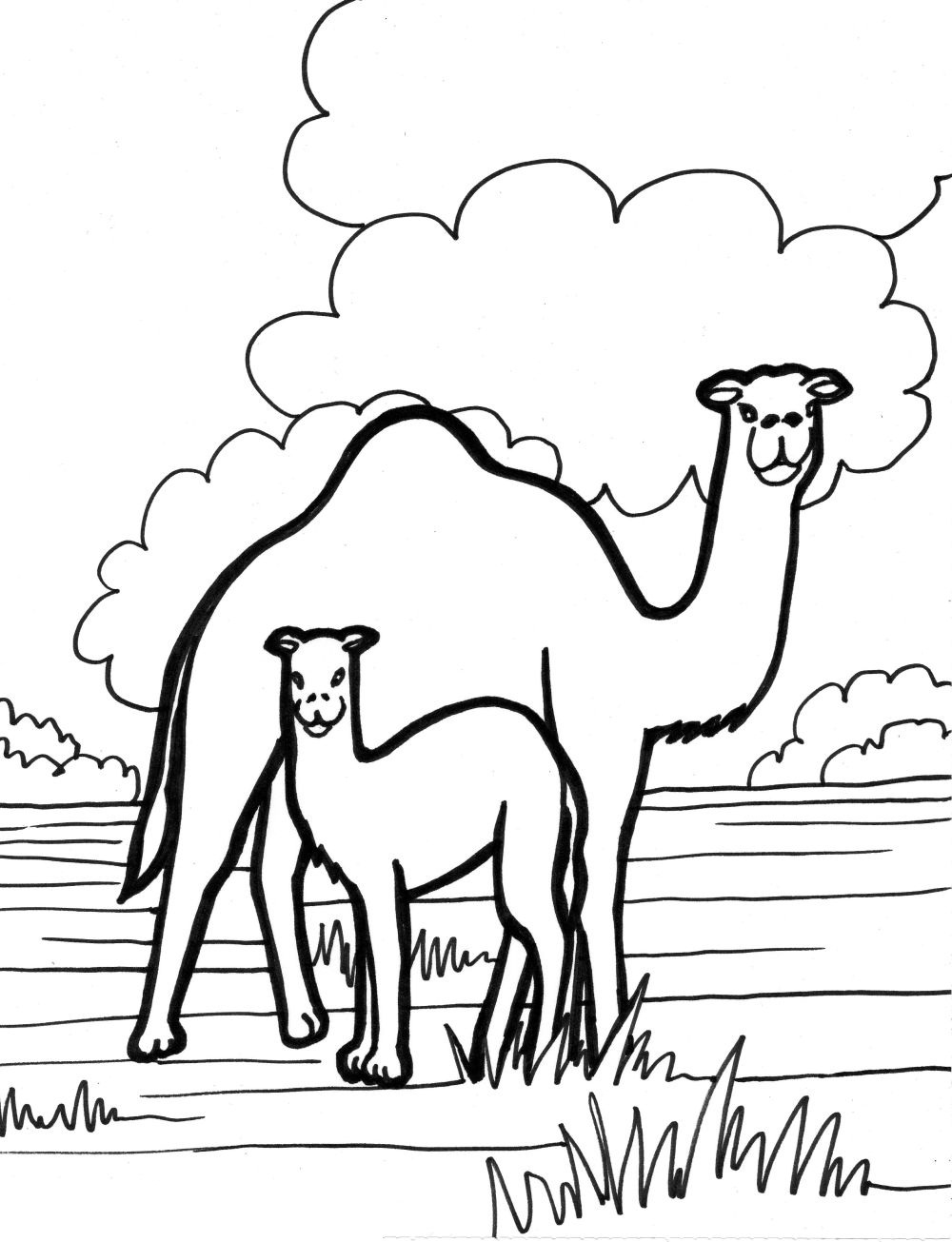 31 Exotic Camel Coloring Pages Printable 7