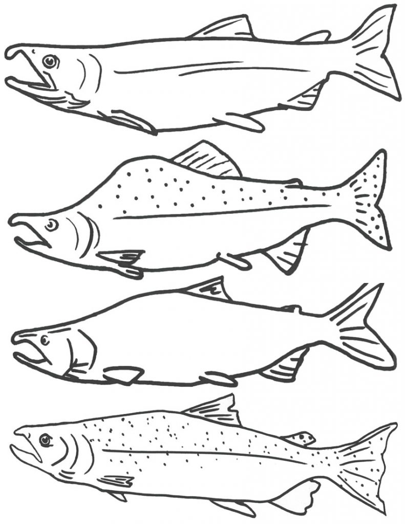 31 Fishing Coloring Pages Printable 17