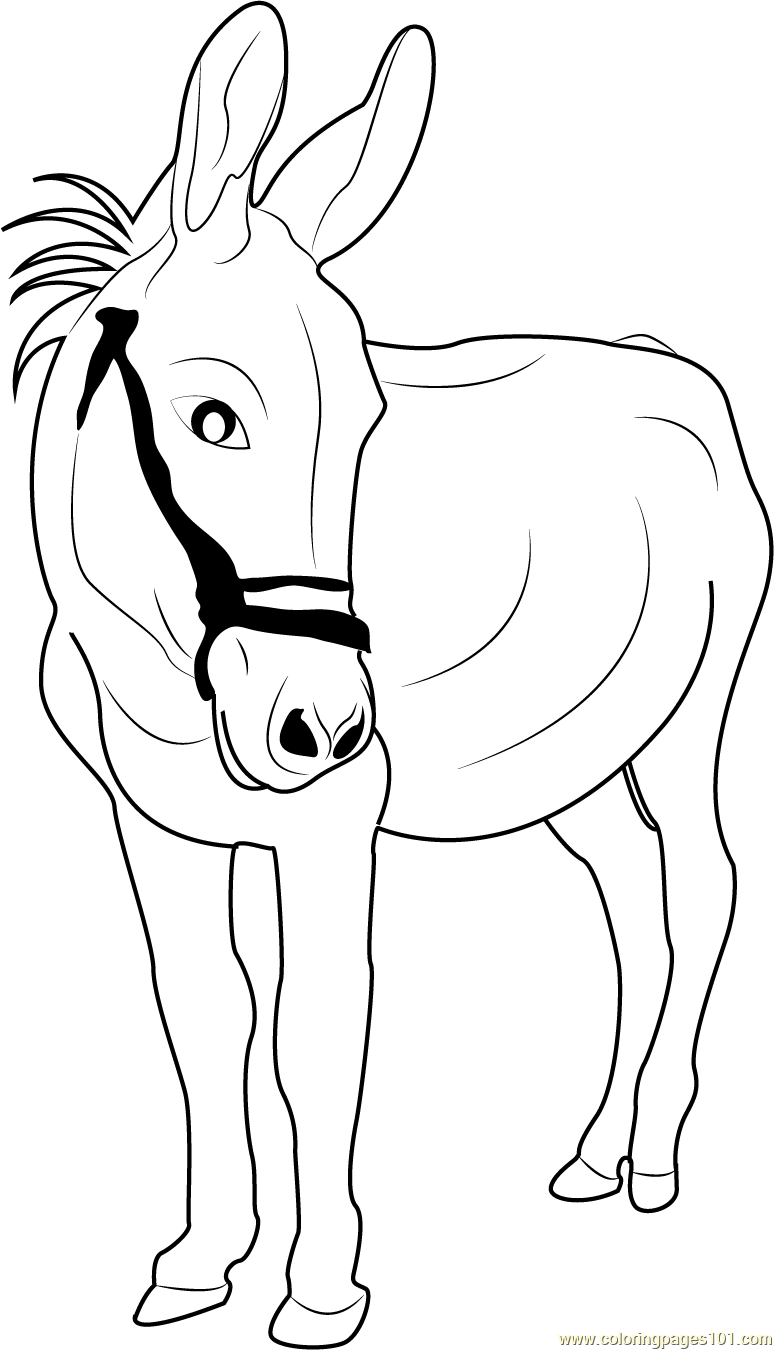 31 Fun Donkey Coloring Pages for Kids Printable 2