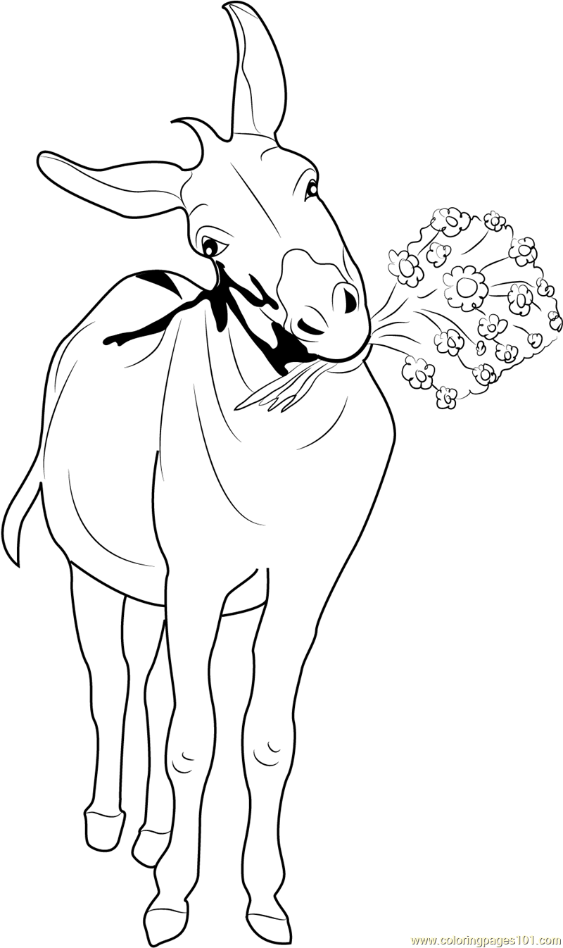 31 Fun Donkey Coloring Pages for Kids Printable 29