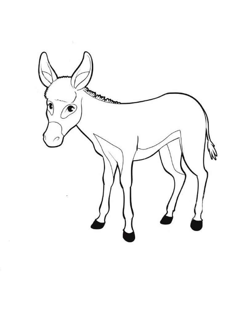 31 Fun Donkey Coloring Pages for Kids Printable 32