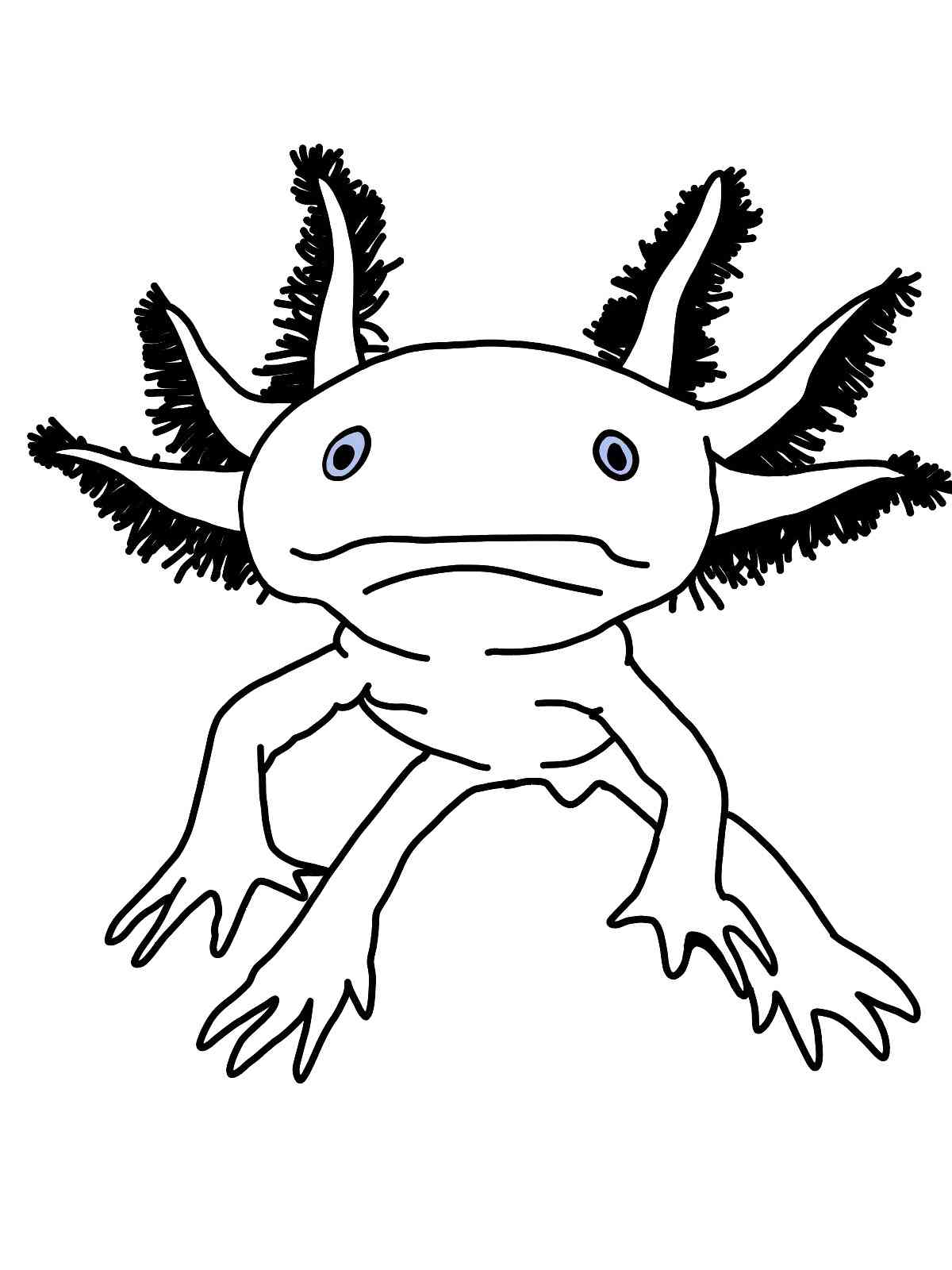 32 Cute Axolotl Coloring Pages Printable 13