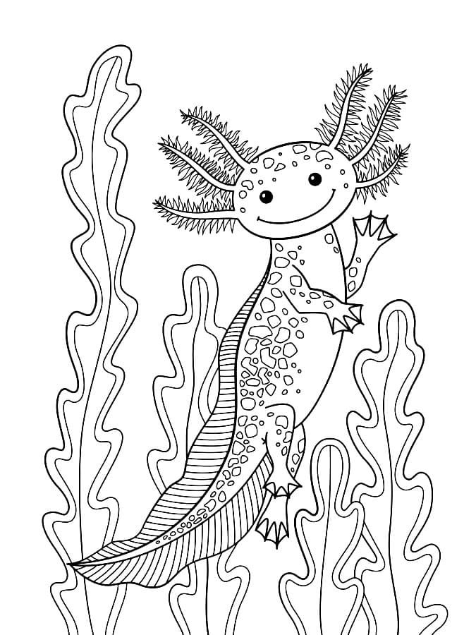 32 Cute Axolotl Coloring Pages Printable 7