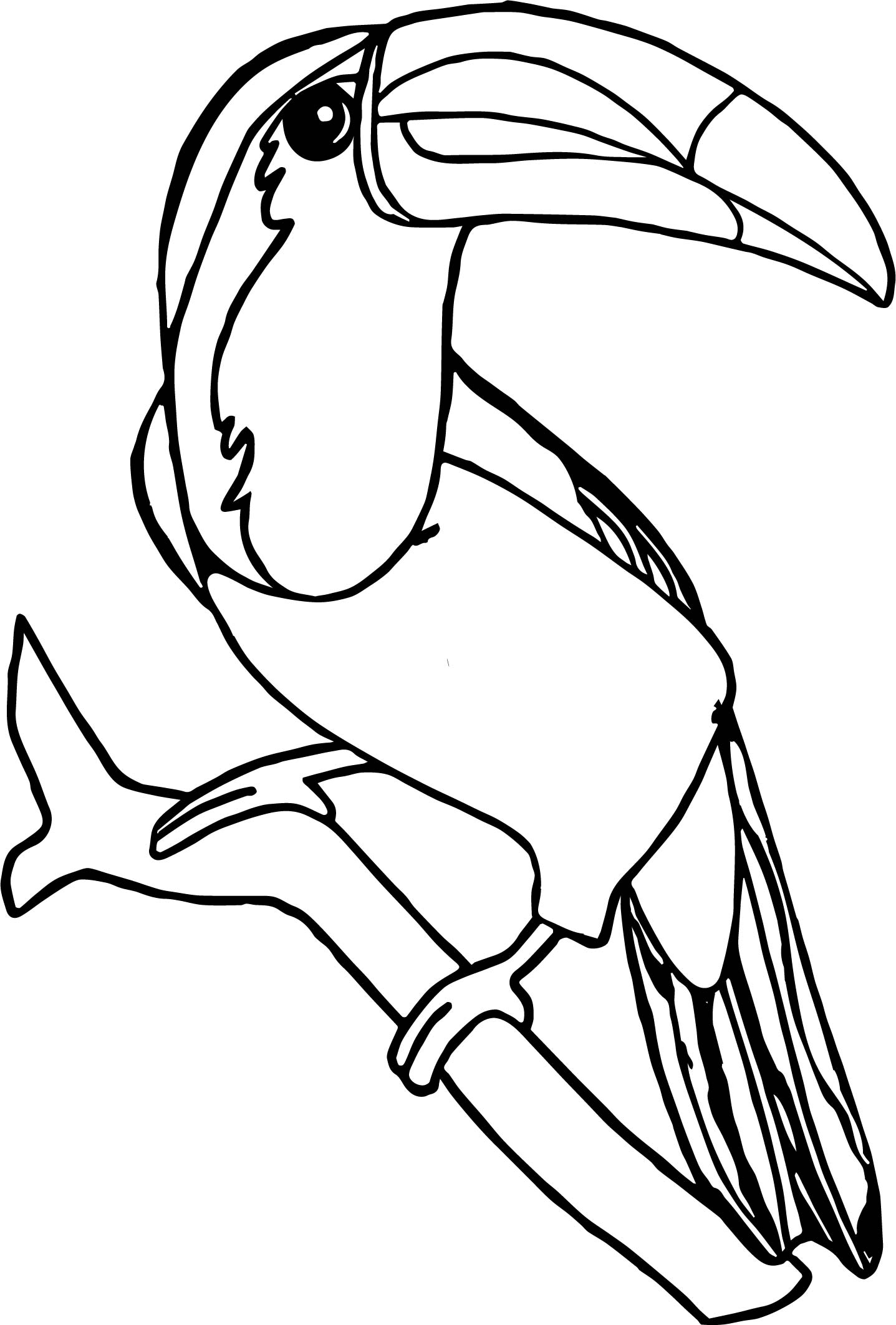 32 Toucan Bird Coloring Pages Printable 1