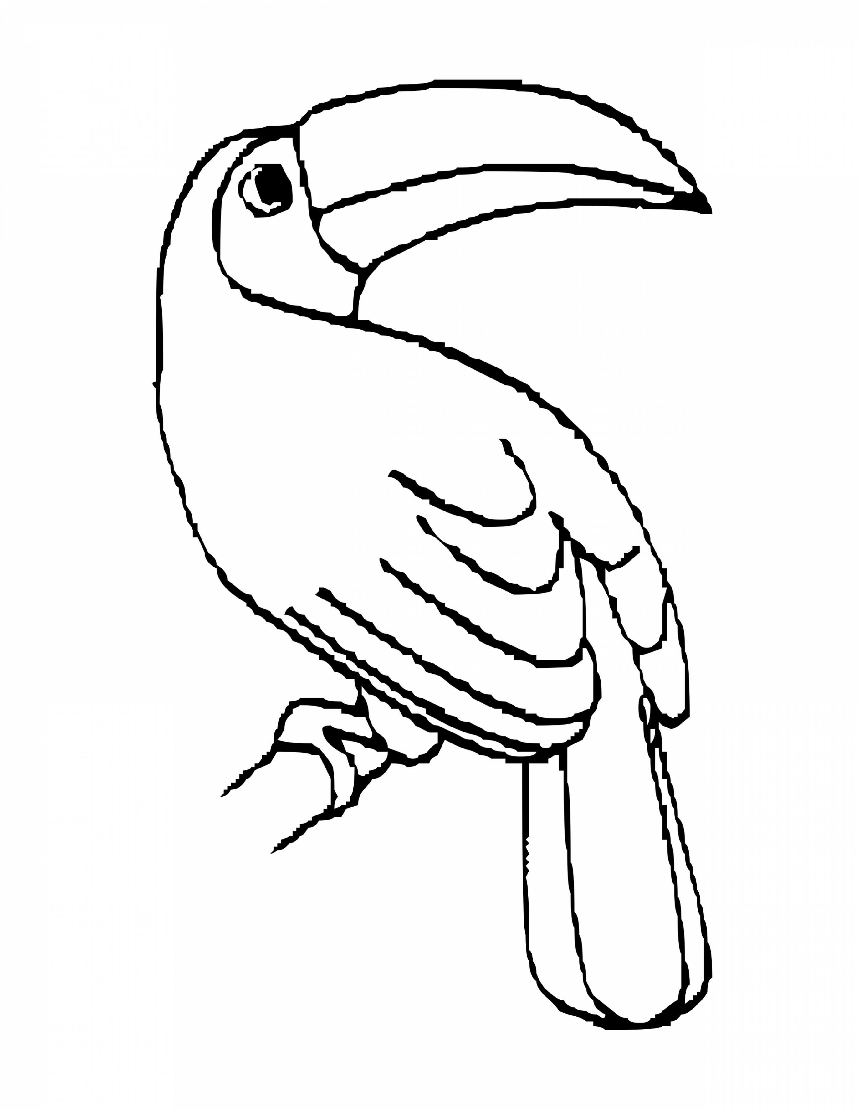 32 Toucan Bird Coloring Pages Printable 13