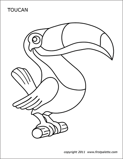 32 Toucan Bird Coloring Pages Printable 14