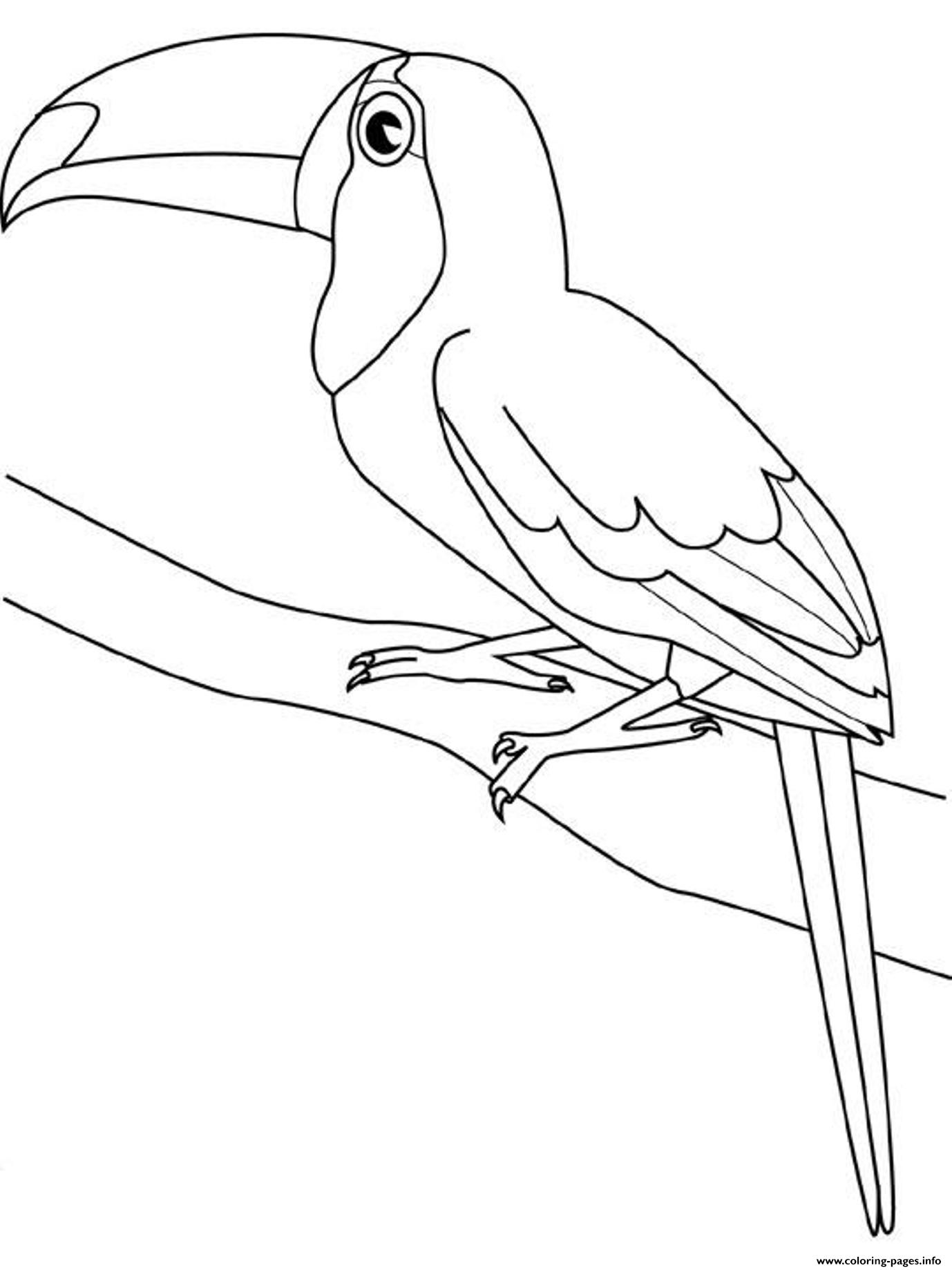 32 Toucan Bird Coloring Pages Printable 16