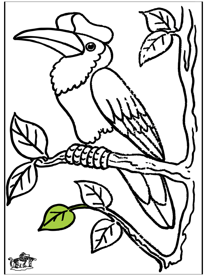 32 Toucan Bird Coloring Pages Printable 18