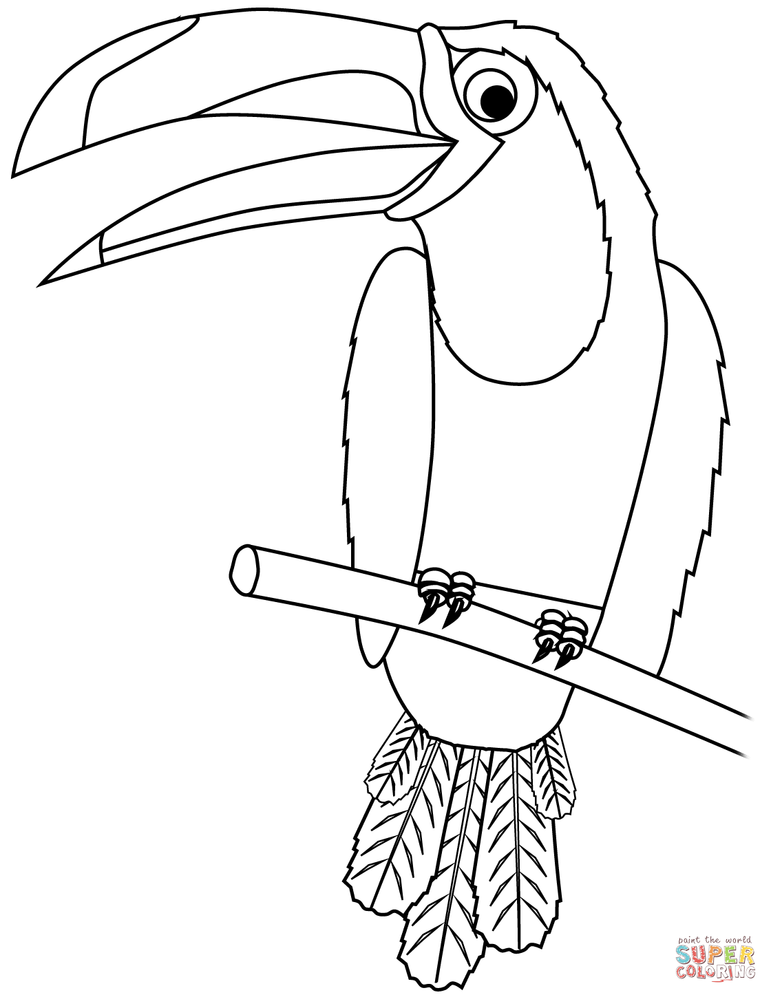 32 Toucan Bird Coloring Pages Printable 21