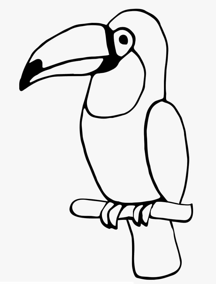 32 Toucan Bird Coloring Pages Printable 22