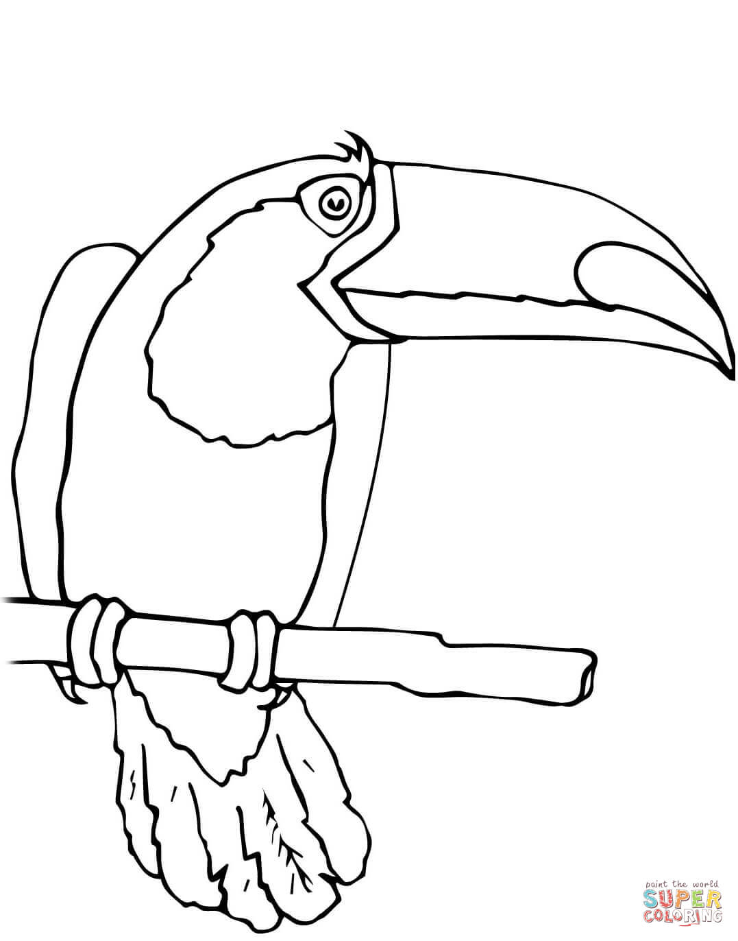 32 Toucan Bird Coloring Pages Printable 27