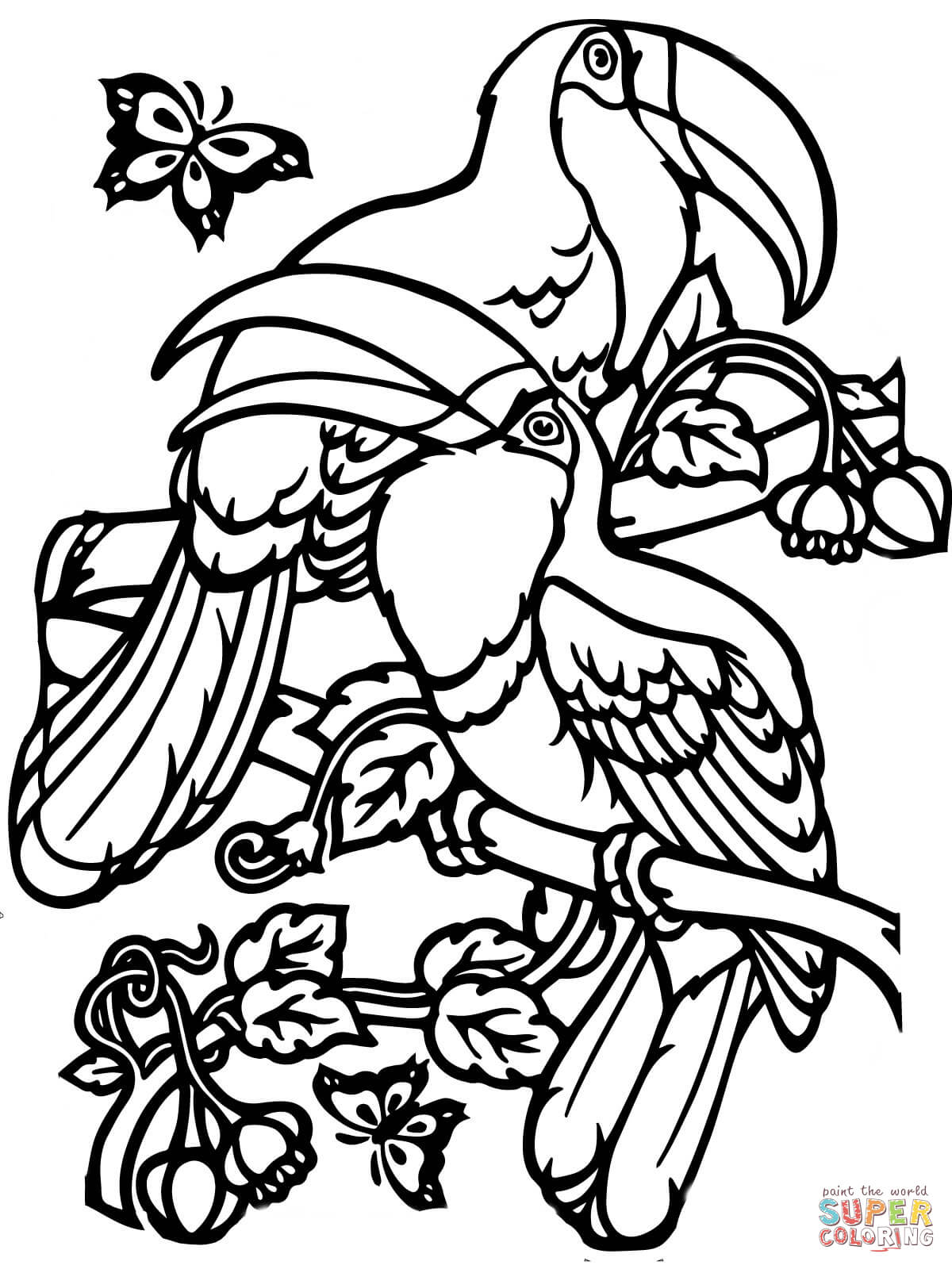 32 Toucan Bird Coloring Pages Printable 29