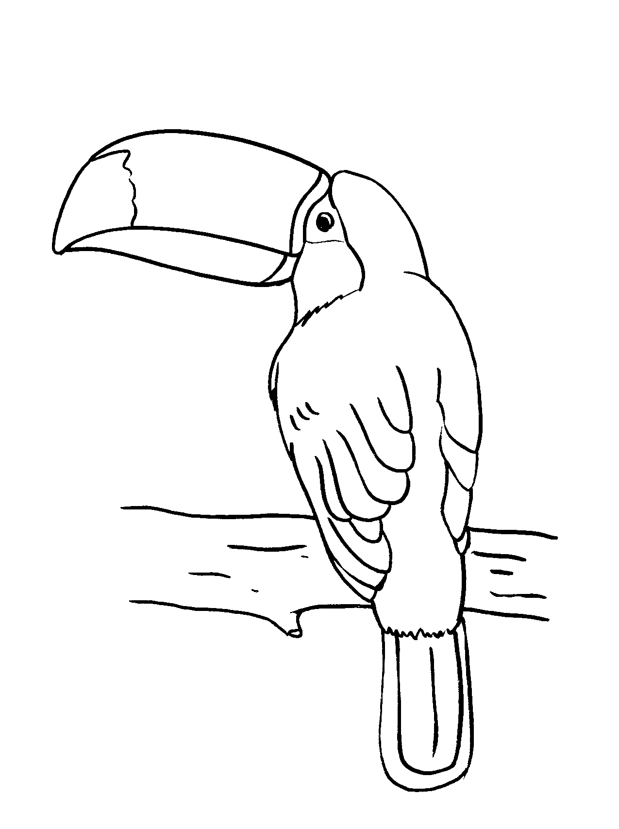 32 Toucan Bird Coloring Pages Printable 31