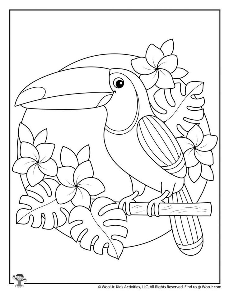 32 Toucan Bird Coloring Pages Printable 32