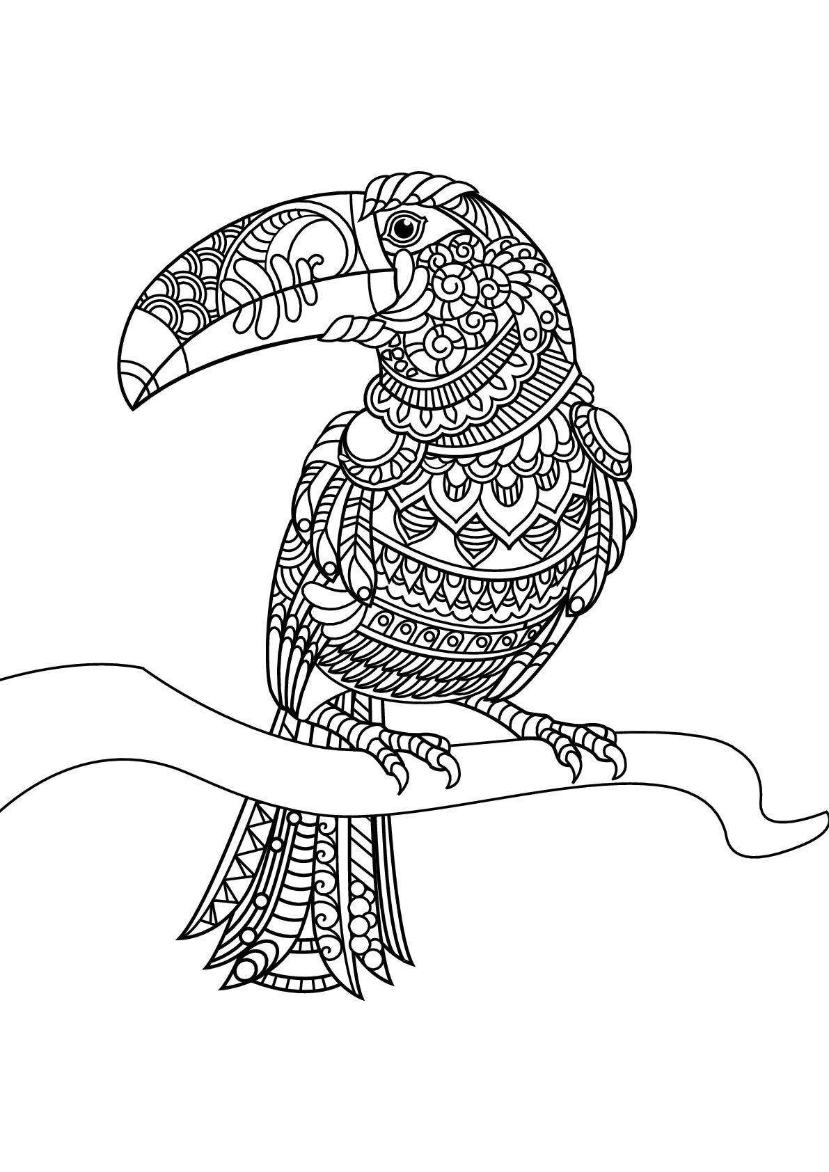 32 Toucan Bird Coloring Pages Printable 33