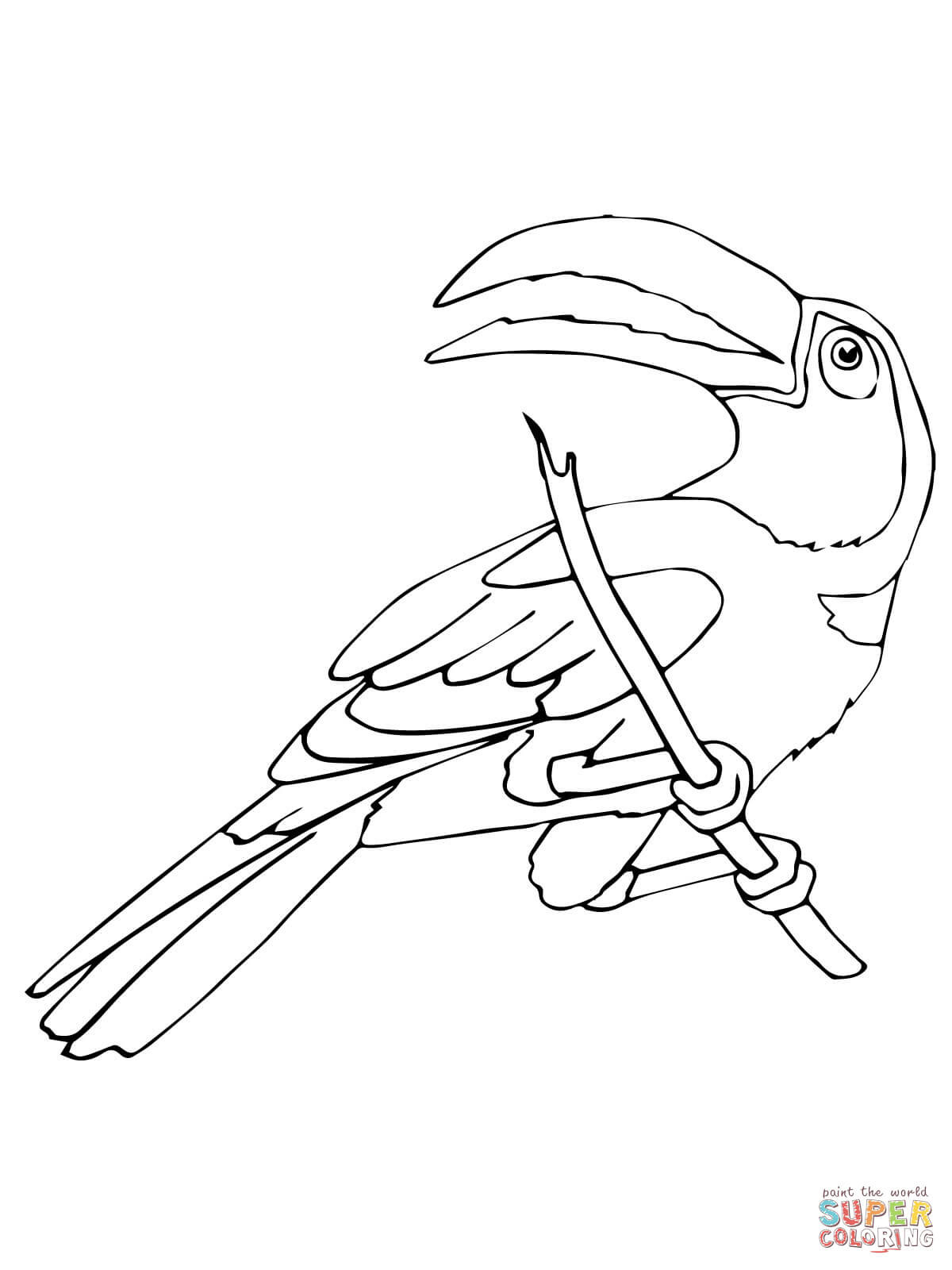 32 Toucan Bird Coloring Pages Printable 4