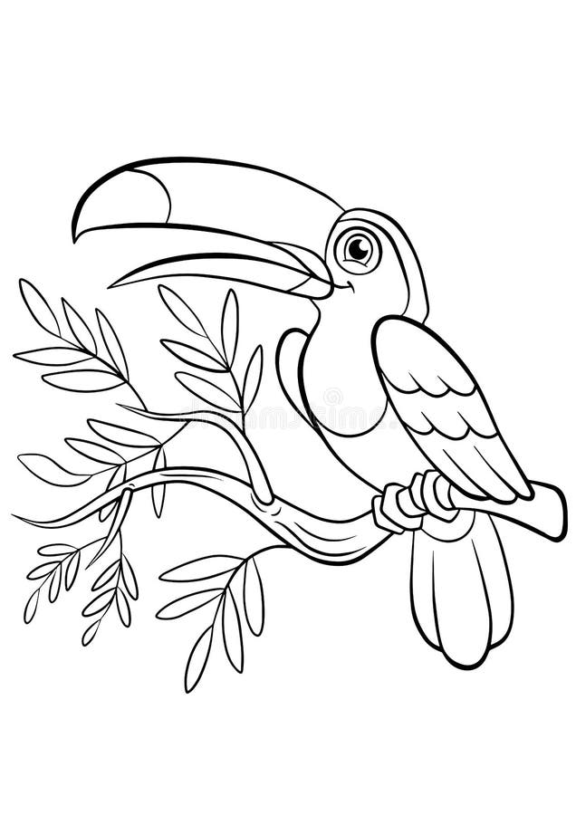 32 Toucan Bird Coloring Pages Printable 5