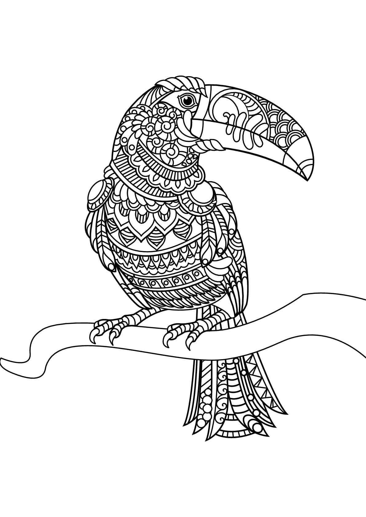 32 Toucan Bird Coloring Pages Printable 7