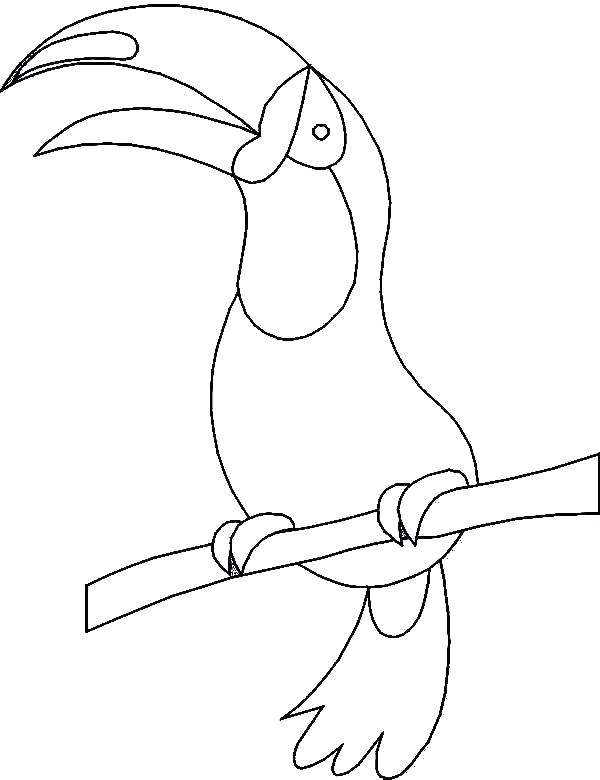 32 Toucan Bird Coloring Pages Printable 8