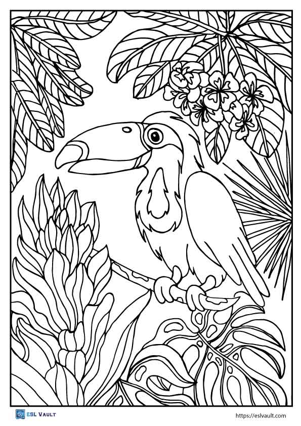 32 Toucan Bird Coloring Pages Printable 9