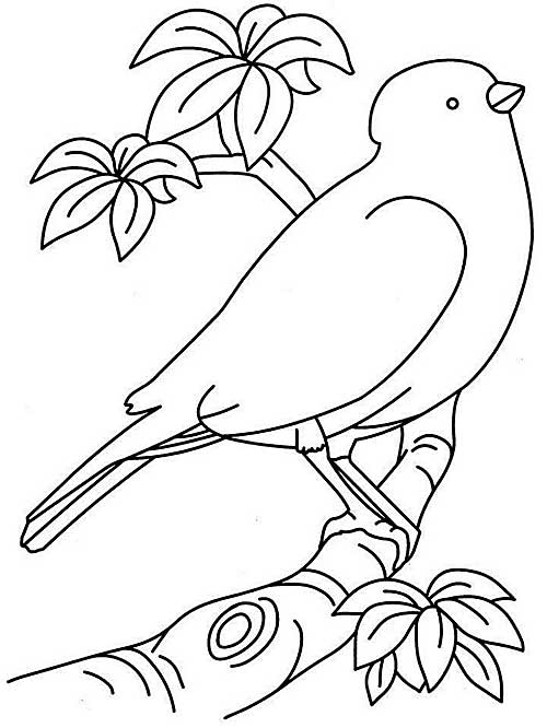 32 Very Simple Coloring Pages Printable 31