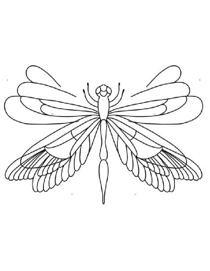 33 Graceful Dragonfly Coloring Pages Printable 10