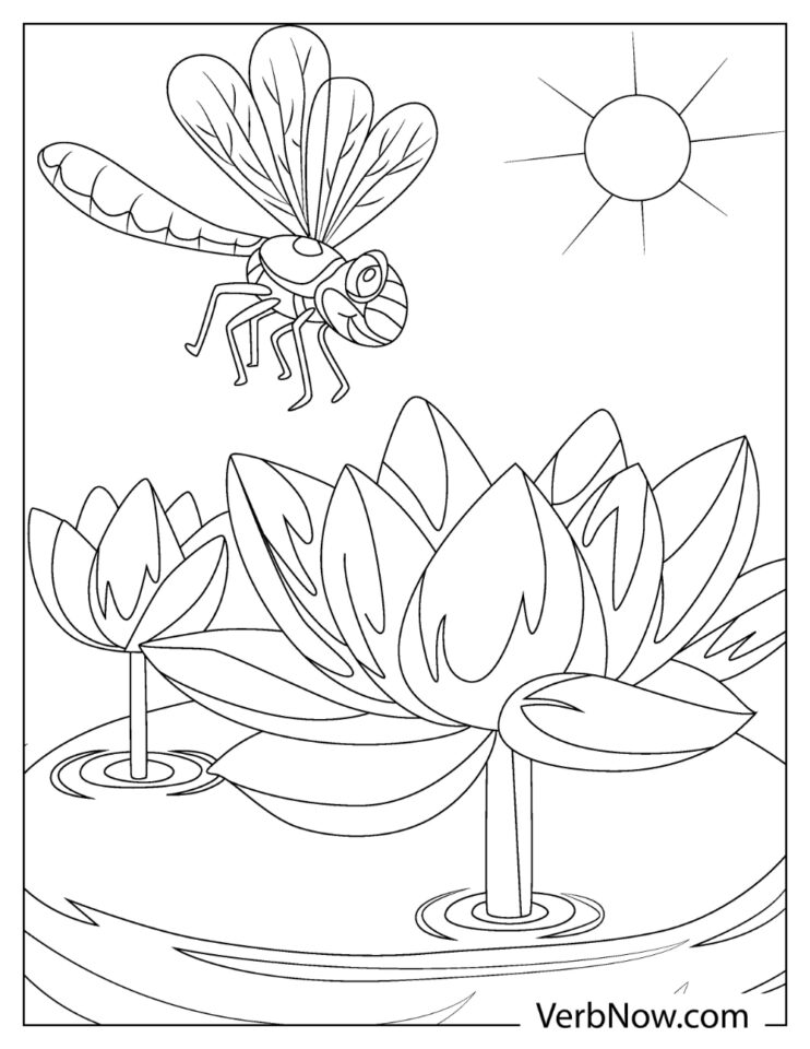 33 Graceful Dragonfly Coloring Pages Printable 15