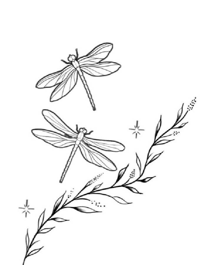 33 Graceful Dragonfly Coloring Pages Printable 20