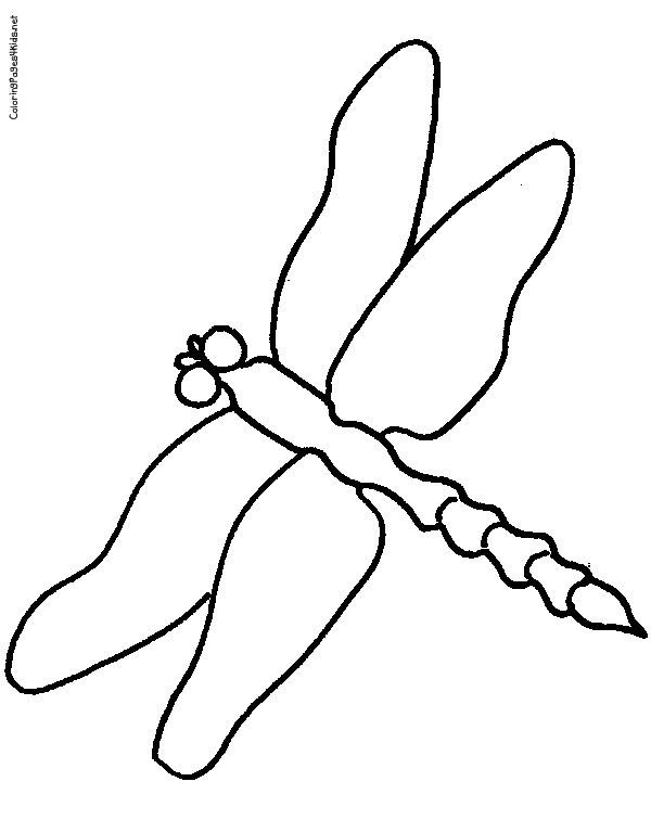 33 Graceful Dragonfly Coloring Pages Printable 23