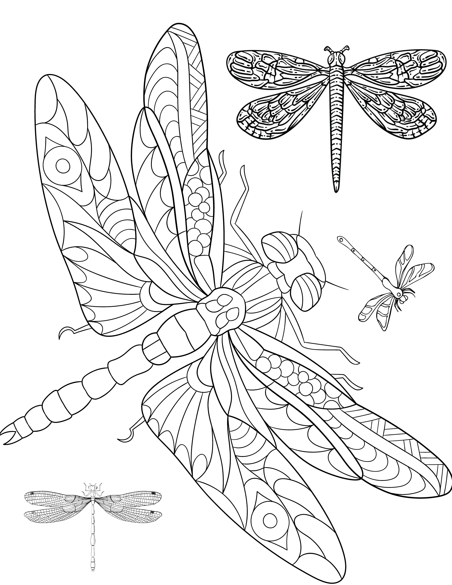 33 Graceful Dragonfly Coloring Pages Printable 25