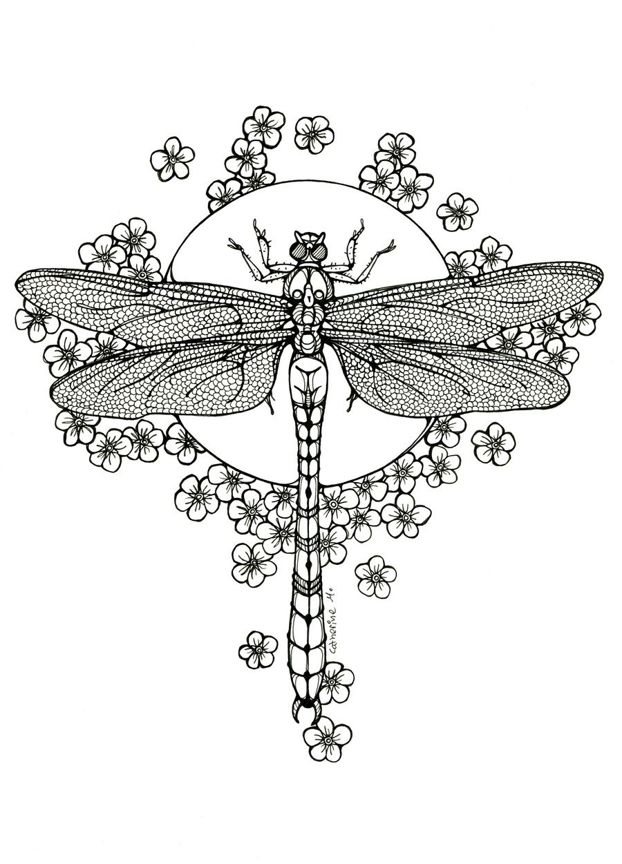 33 Graceful Dragonfly Coloring Pages Printable 28