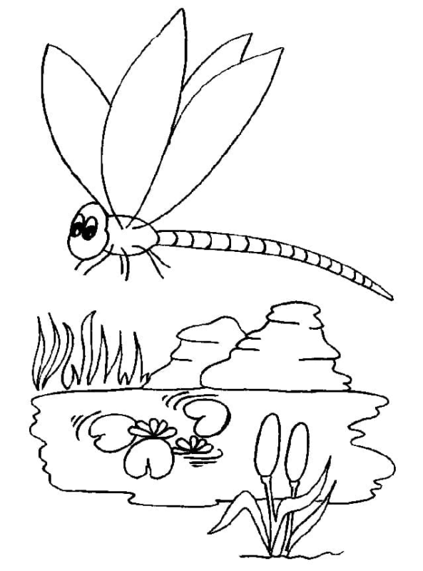 33 Graceful Dragonfly Coloring Pages Printable 30