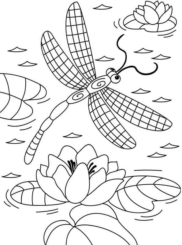 33 Graceful Dragonfly Coloring Pages Printable 31