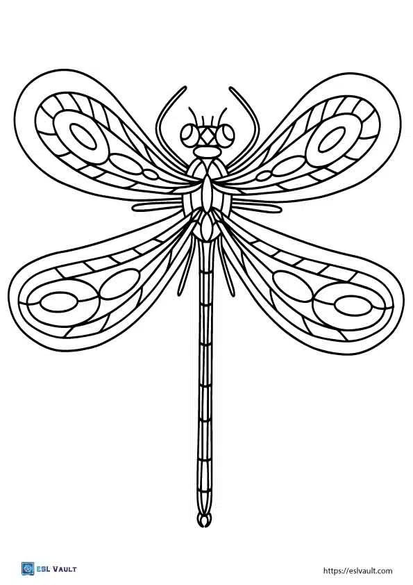 33 Graceful Dragonfly Coloring Pages Printable 34