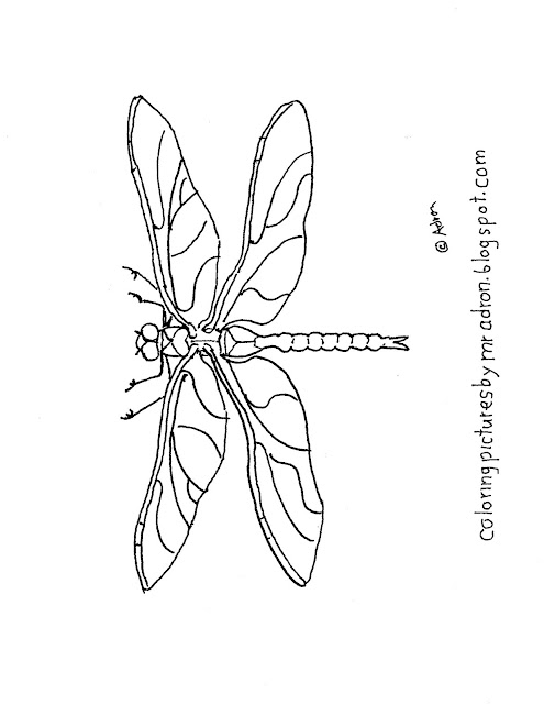 33 Graceful Dragonfly Coloring Pages Printable 35