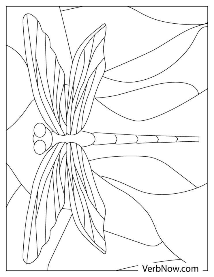 graceful dragonfly coloring pages printable jpg