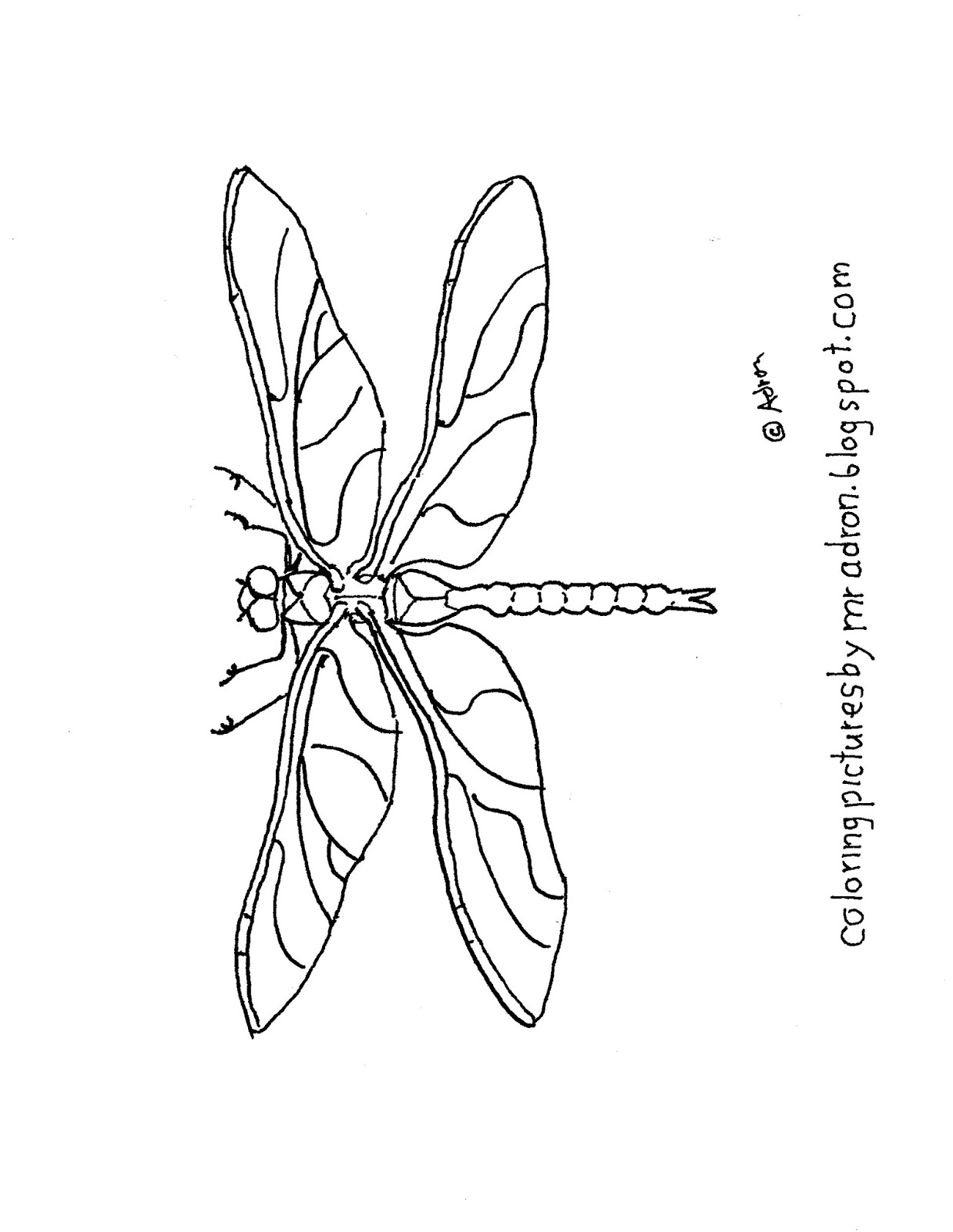 33 Graceful Dragonfly Coloring Pages Printable 5