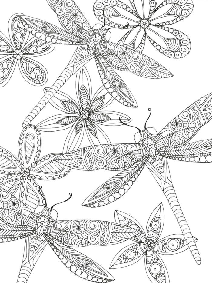 33 Graceful Dragonfly Coloring Pages Printable 7