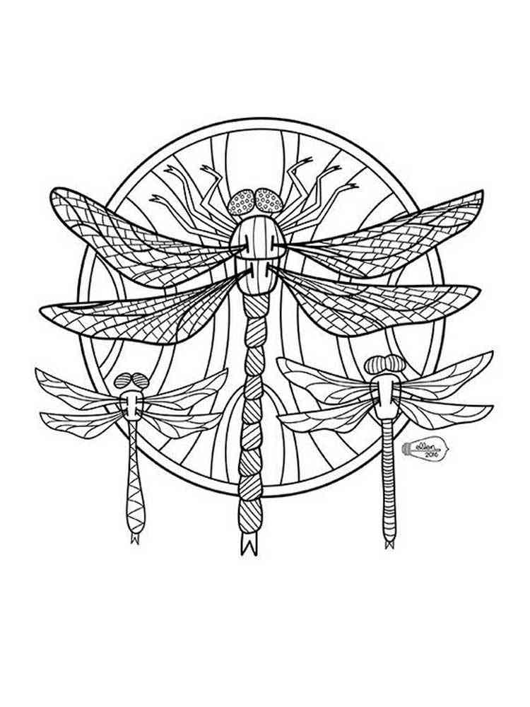 33 Graceful Dragonfly Coloring Pages Printable 8