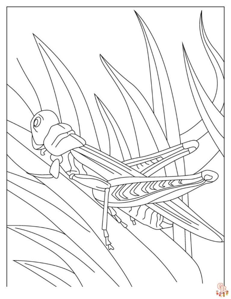 grasshoppers coloring pages printable jpg